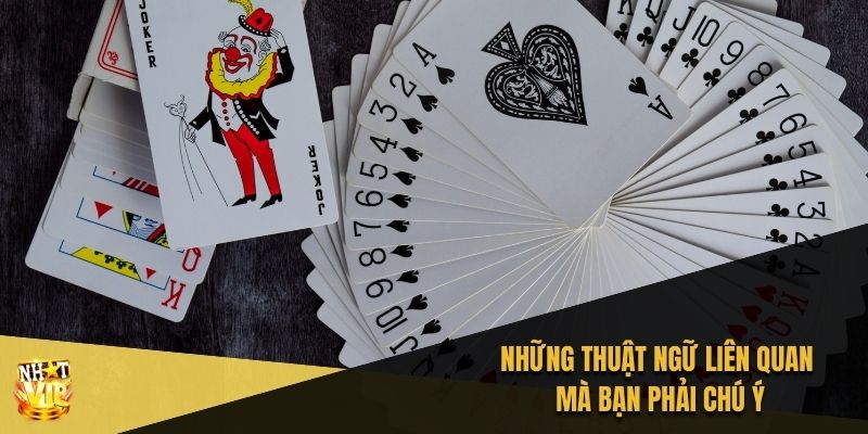 Những thuật ngữ liên quan mà bạn phải chú ý