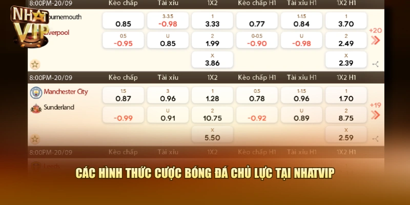 Các hình thức cược Bóng Đá chủ lực tại Nhatvip