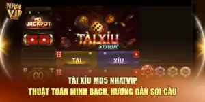 Tài Xỉu MD5 Nhatvip – Thuật Toán Minh Bạch, Hướng Dẫn Soi Cầu